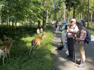 Wandern und Kultur mit Karin Wolff